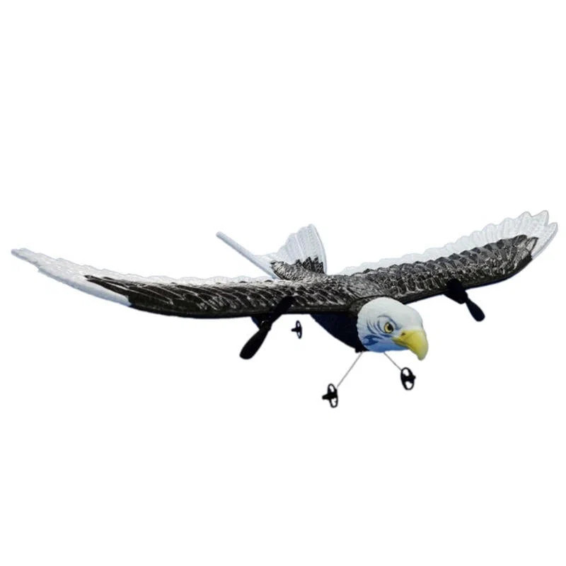 RCE6735-41191498_3.jpg