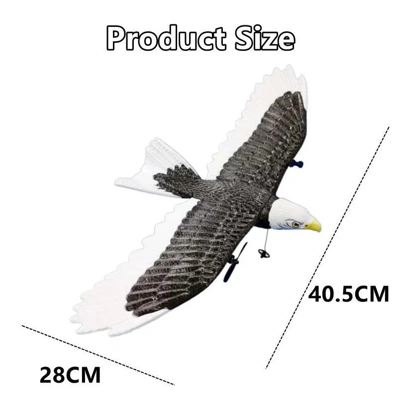 RCE6735-41191498_5.jpg